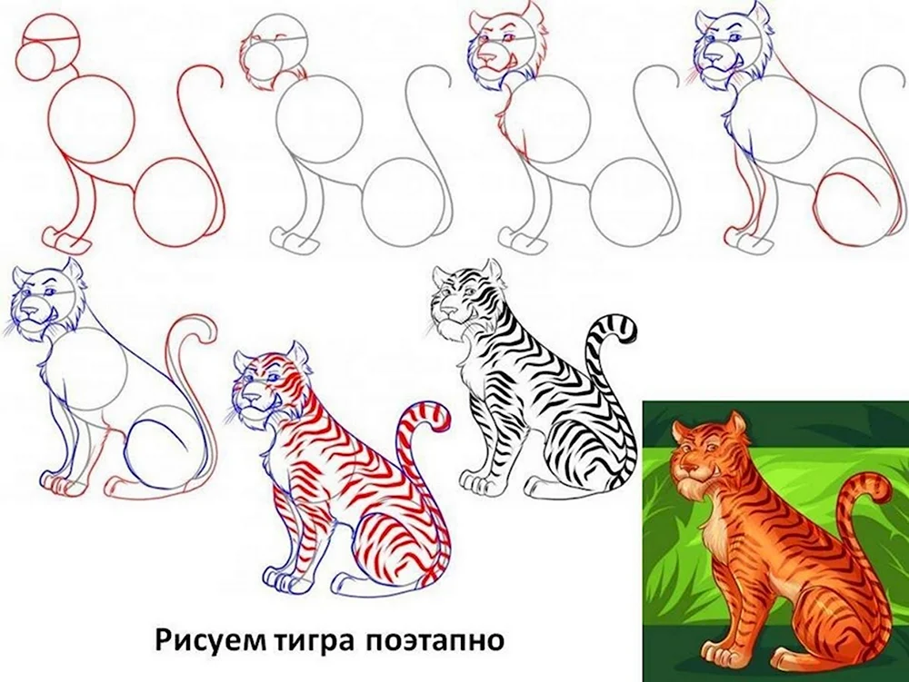 Рисунок тигра пошагово