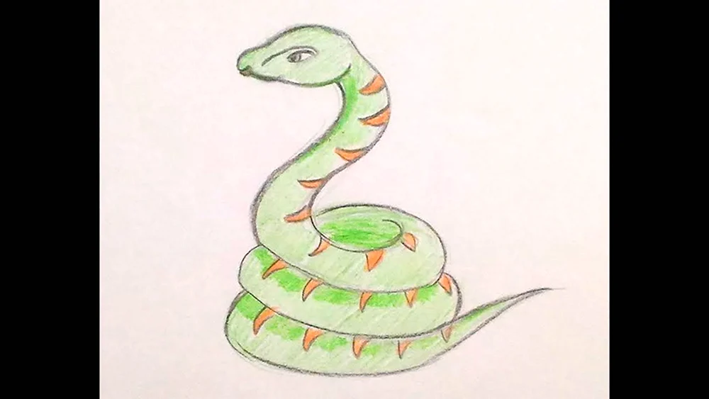 Рисунок змеи для детей красками