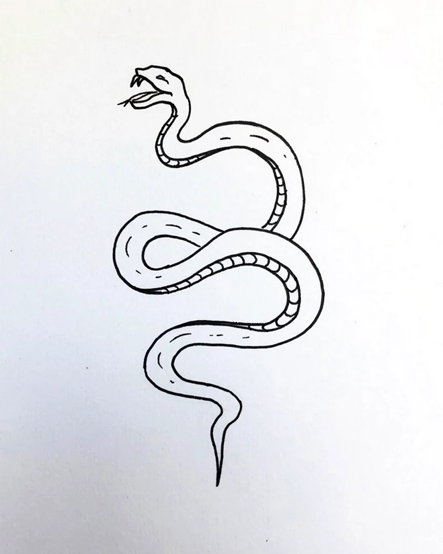Рисунок змеи карандашом для срисовки