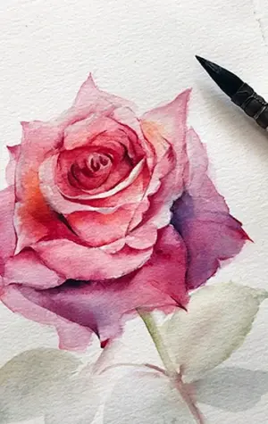 Роза скетч красками