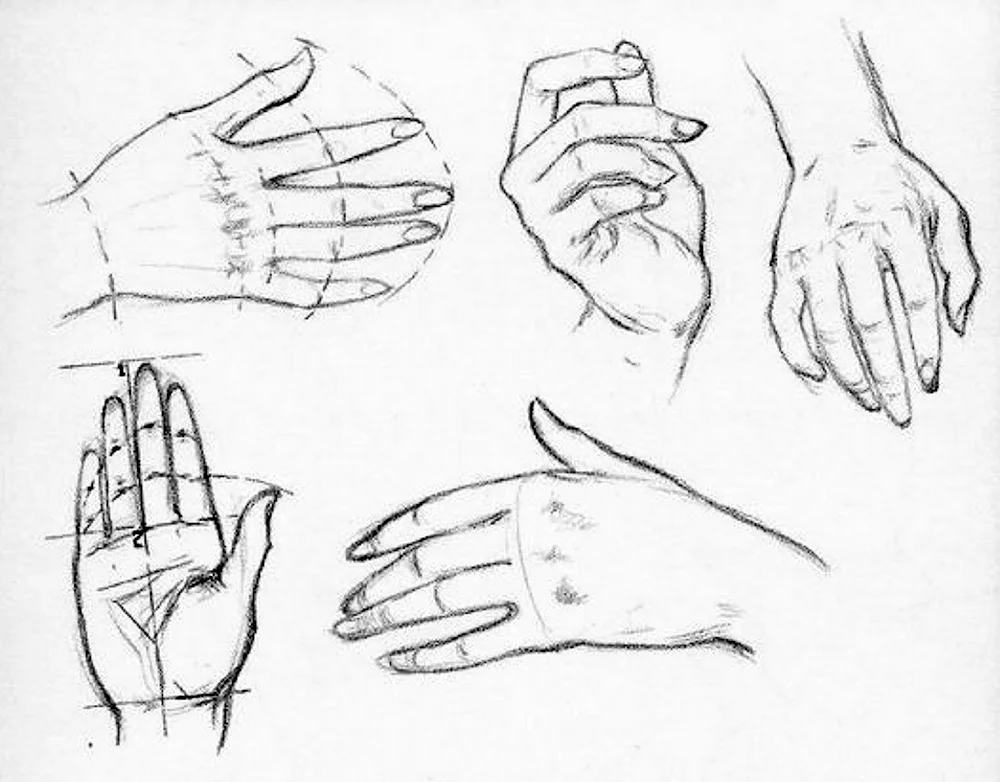 Руки женские рисунок карандашом