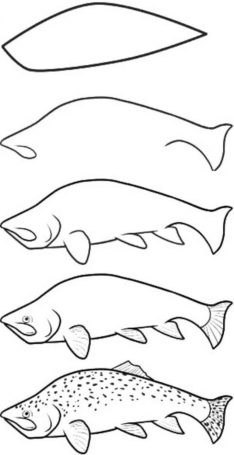 Рыба схематический рисунок