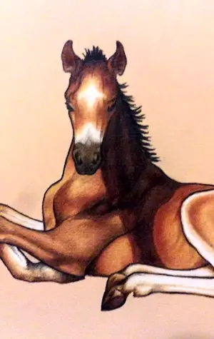 Сидячая лошадь
