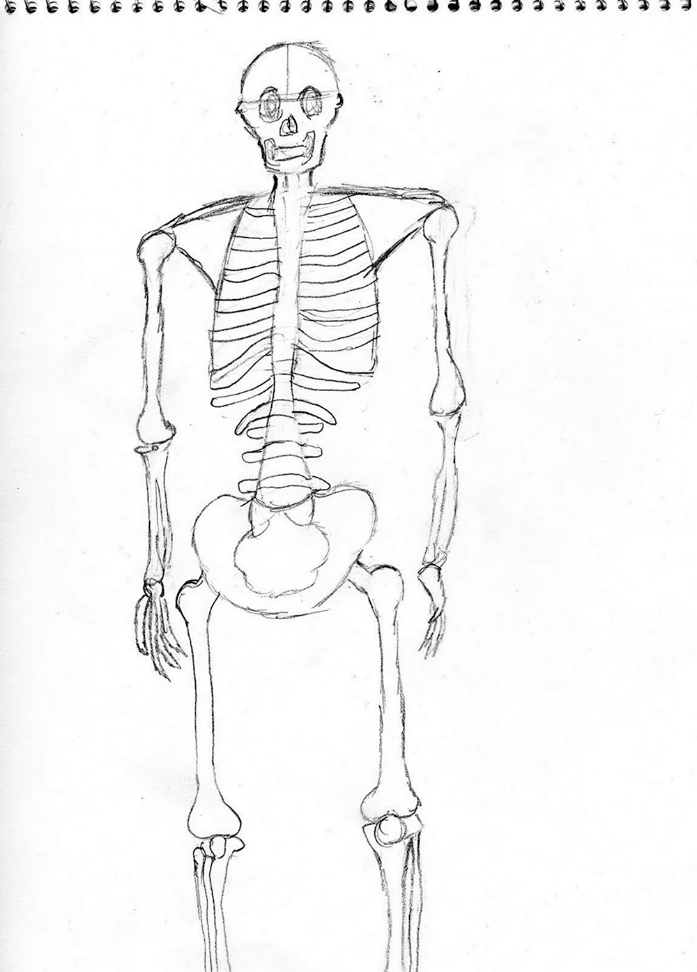 Скелет для рисования