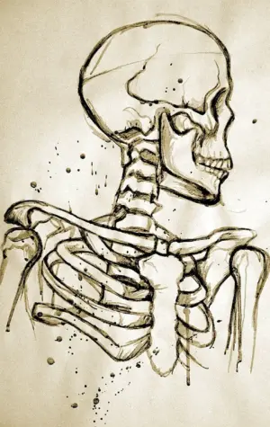 Скелет нарисовать