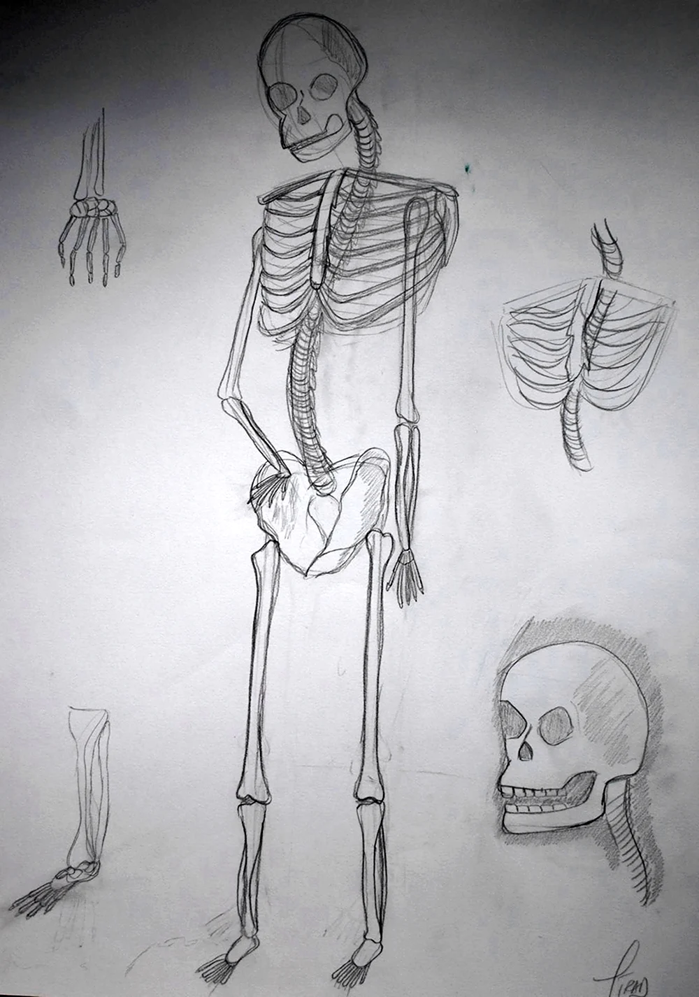 Скелет поэтапно