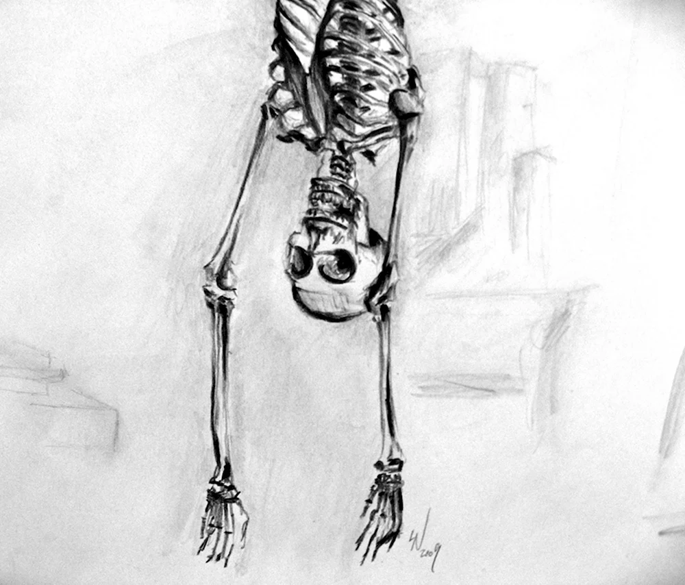 Скелет скетч
