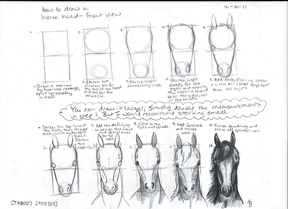 Схема построения головы лошади