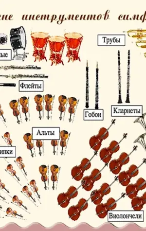 Схема расположения музыкальных инструментов в оркестре