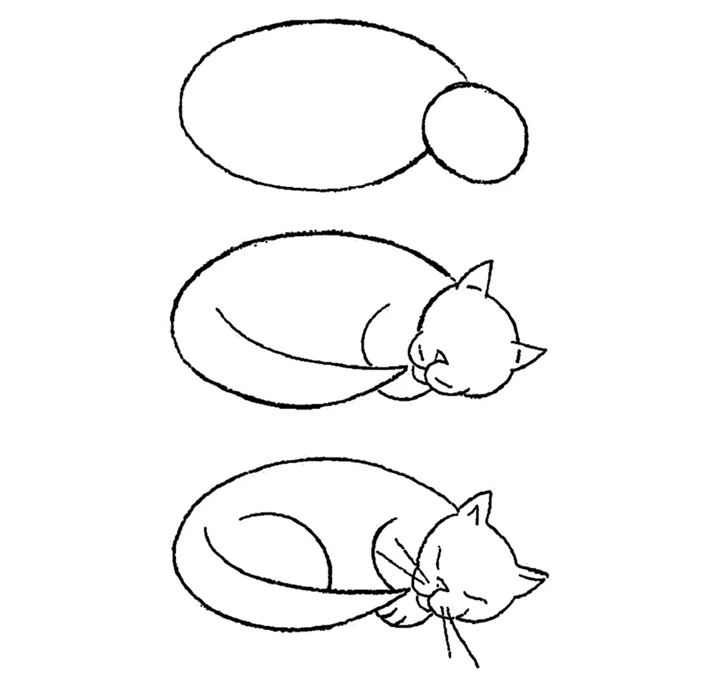 Схема рисования кошки для детей