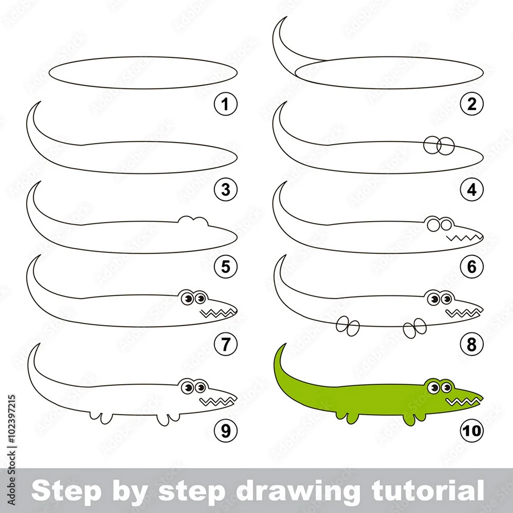 Схема рисования крокодила для дошкольников