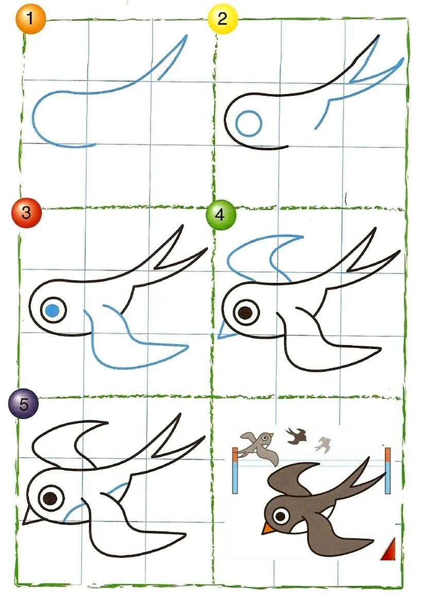 Схема рисования ласточки для дошкольников