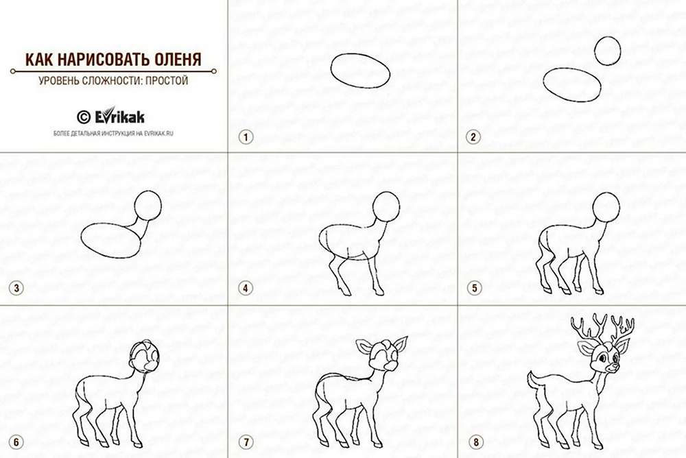 Схема рисования оленя для детей