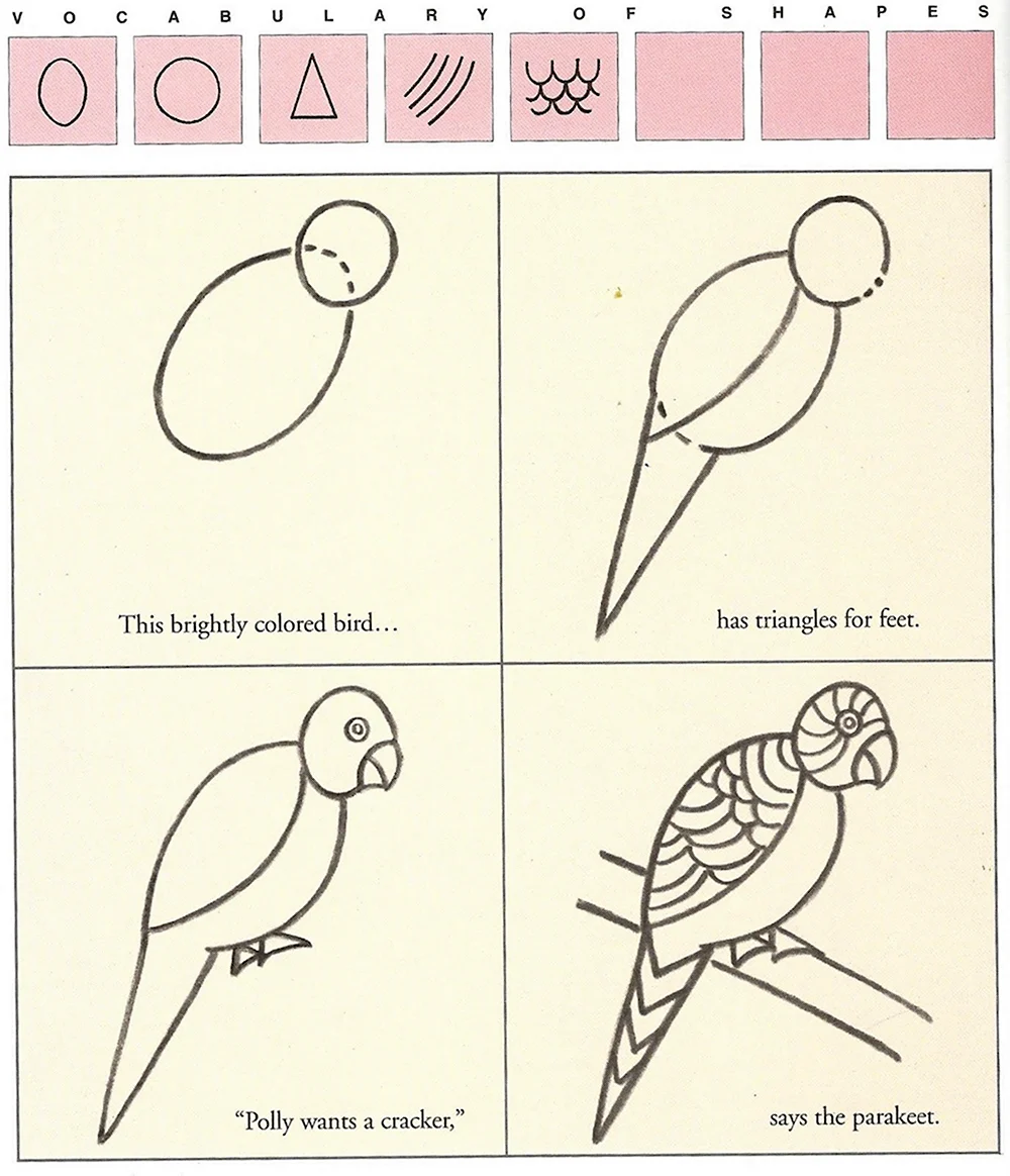 Схема рисования попугая