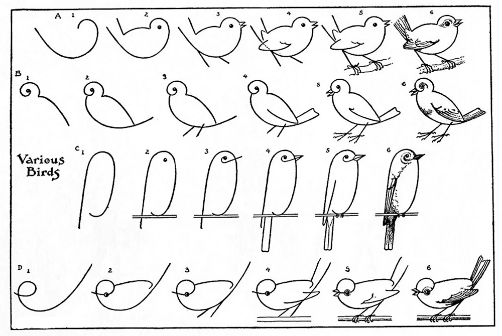 Схема рисования птицы