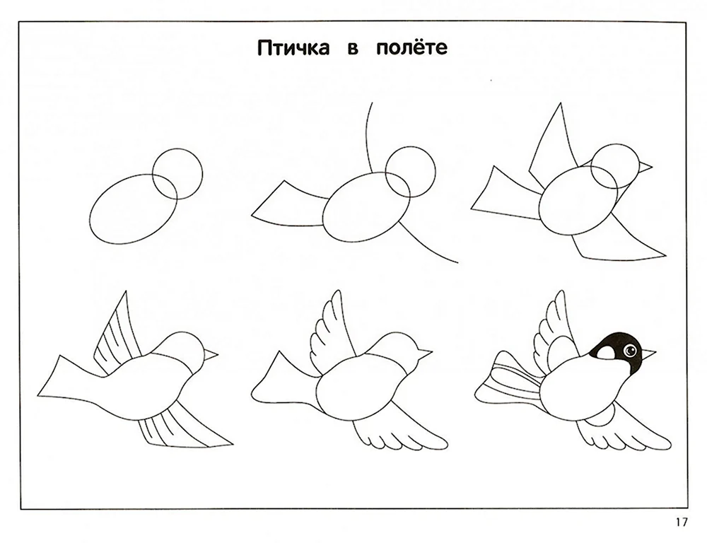 Схема рисования птицы в средней группе
