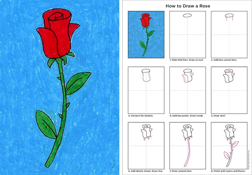 Схема рисования розы для детей