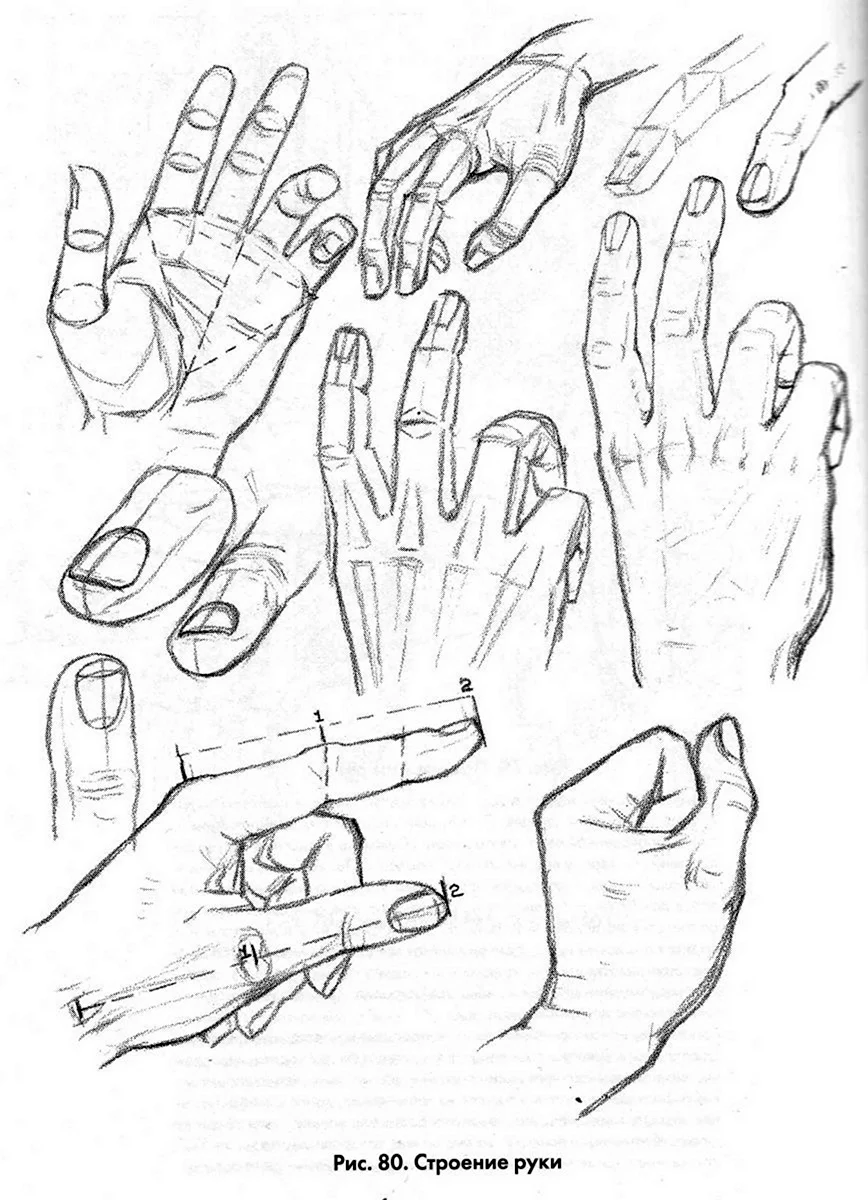 Схема рисования рук