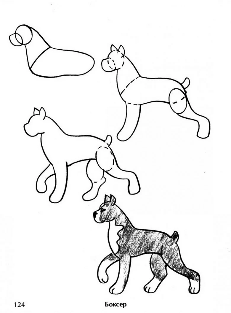 Схема рисования собаки