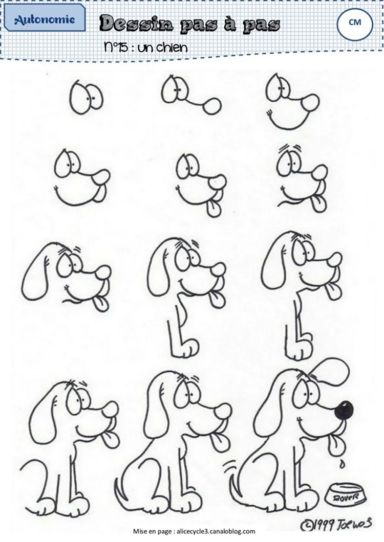 Схема рисования собаки простая