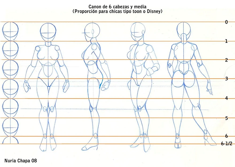 Схема рисования тела