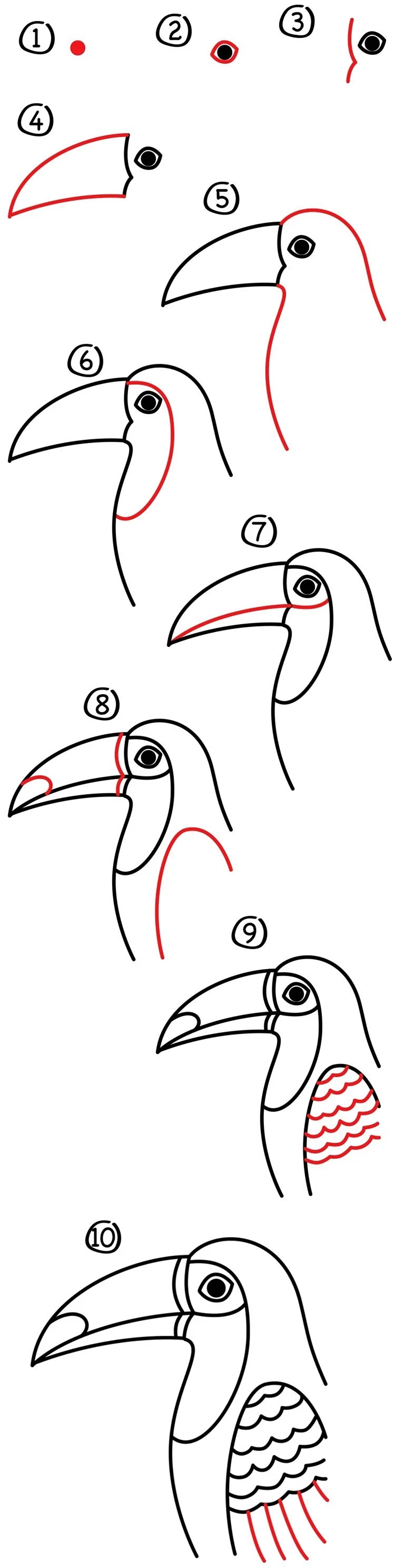 Схема рисования тукана