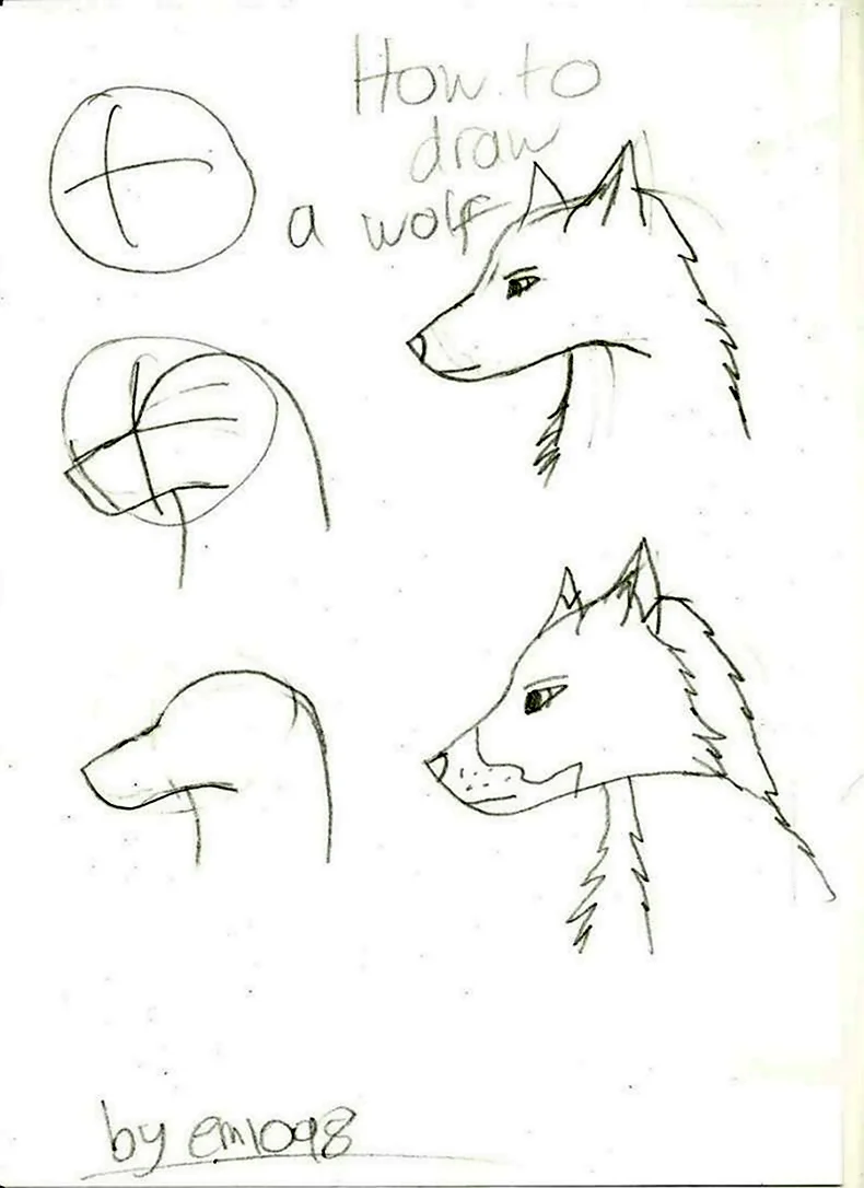 Схема рисования волка