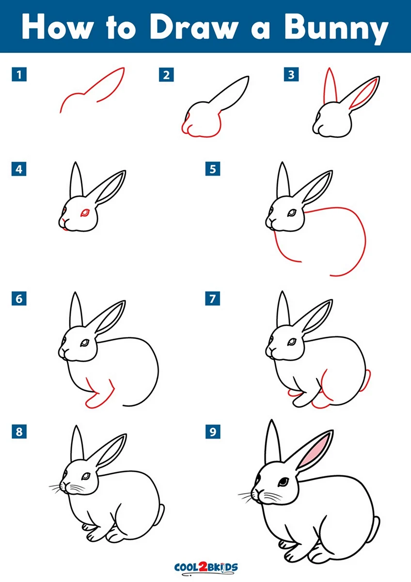 Схема рисования зайца