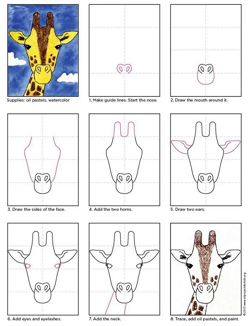 Схема жирафа рисунок