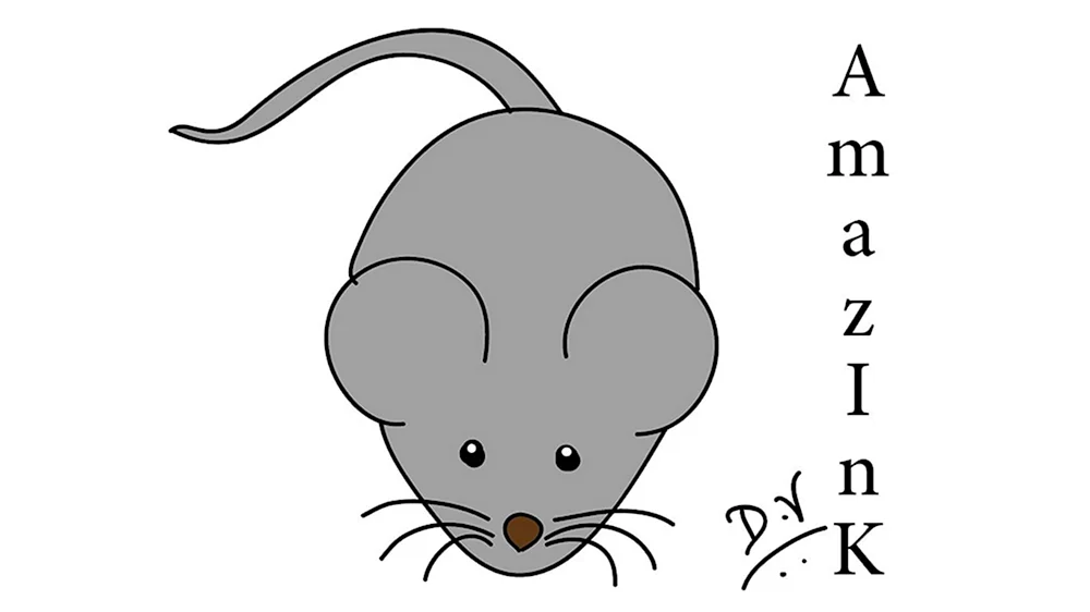 Схематическое изображение мышки