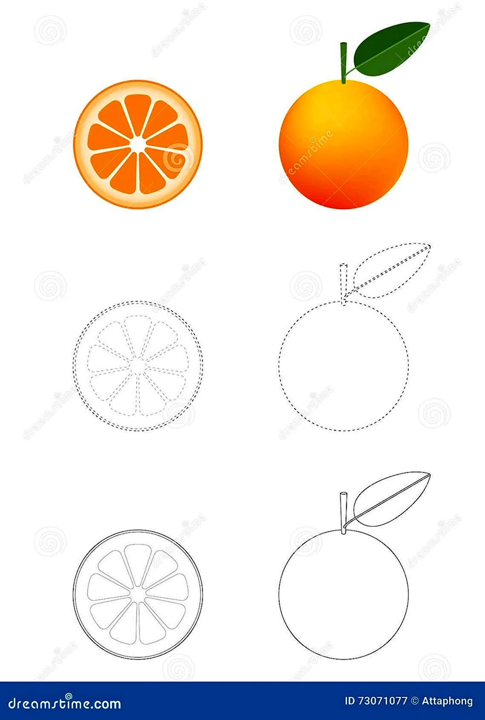 Схематичное изображение апельсина