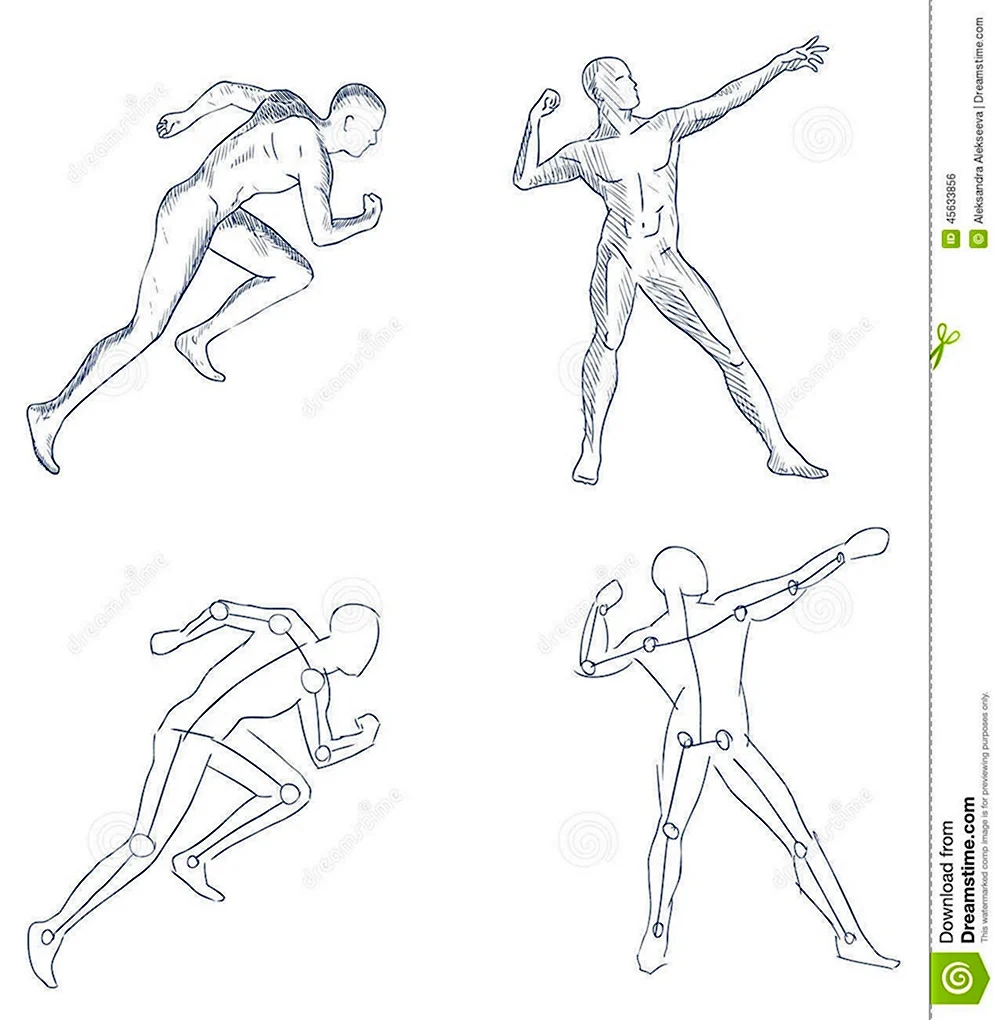 Схематичное изображение фигуры человека в движении