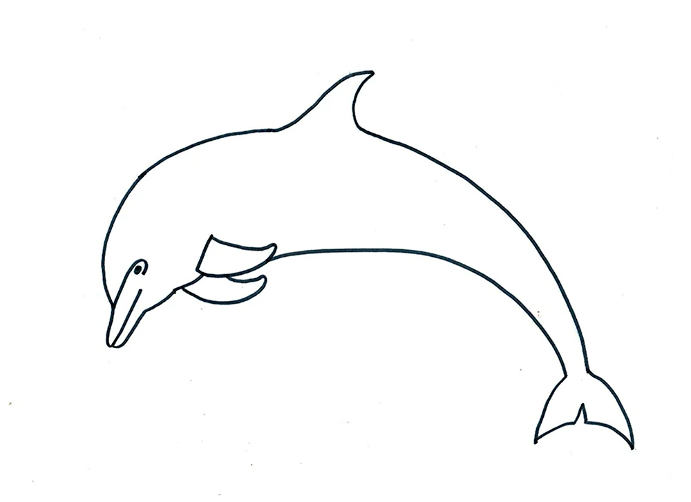 Схематичный рисунок дельфина