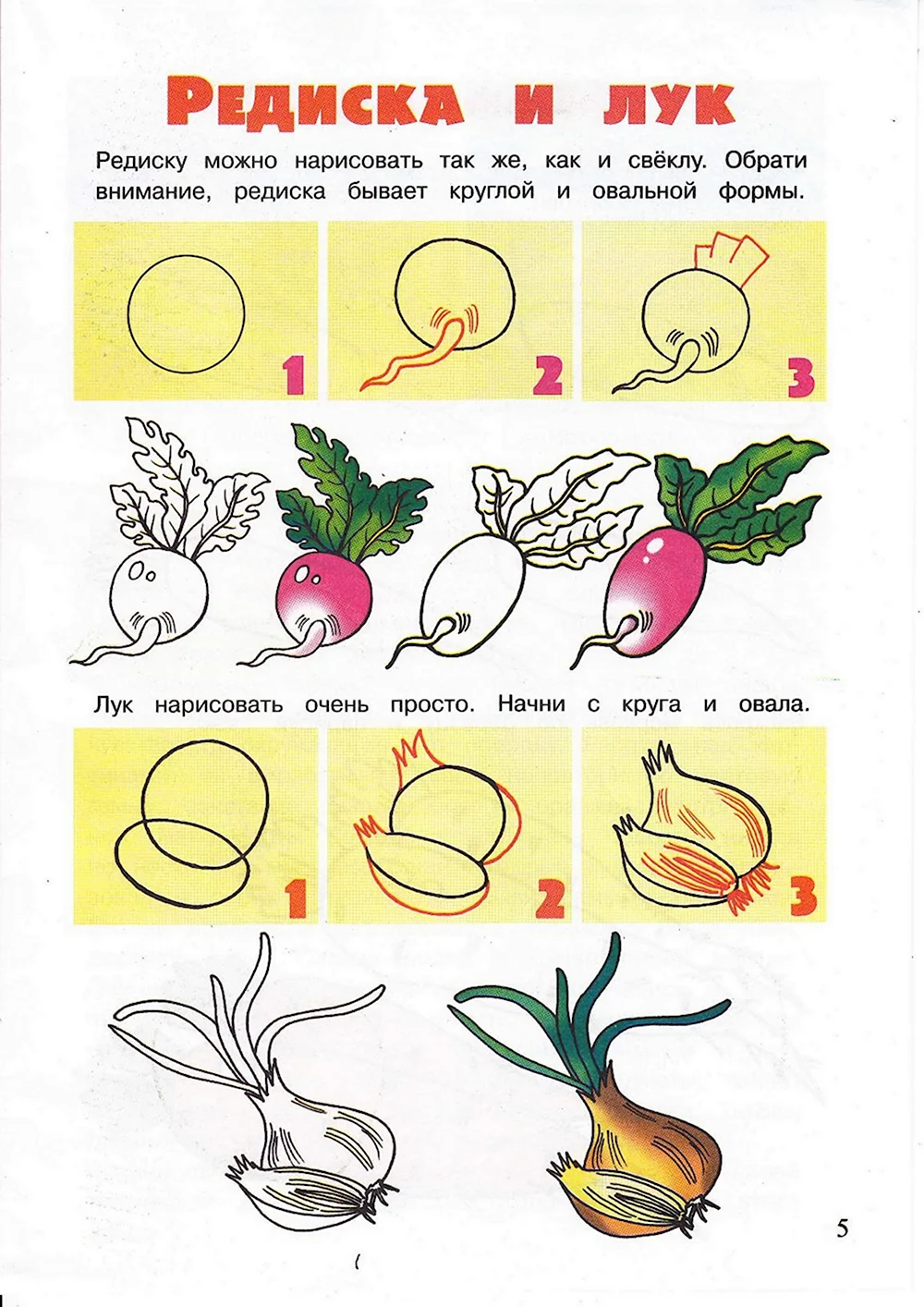 Схемы поэтапного рисования овощей и фруктов