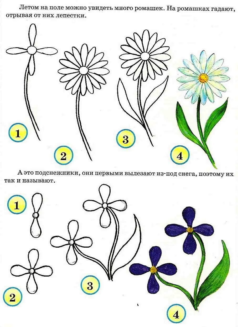 Схемы рисования цветов