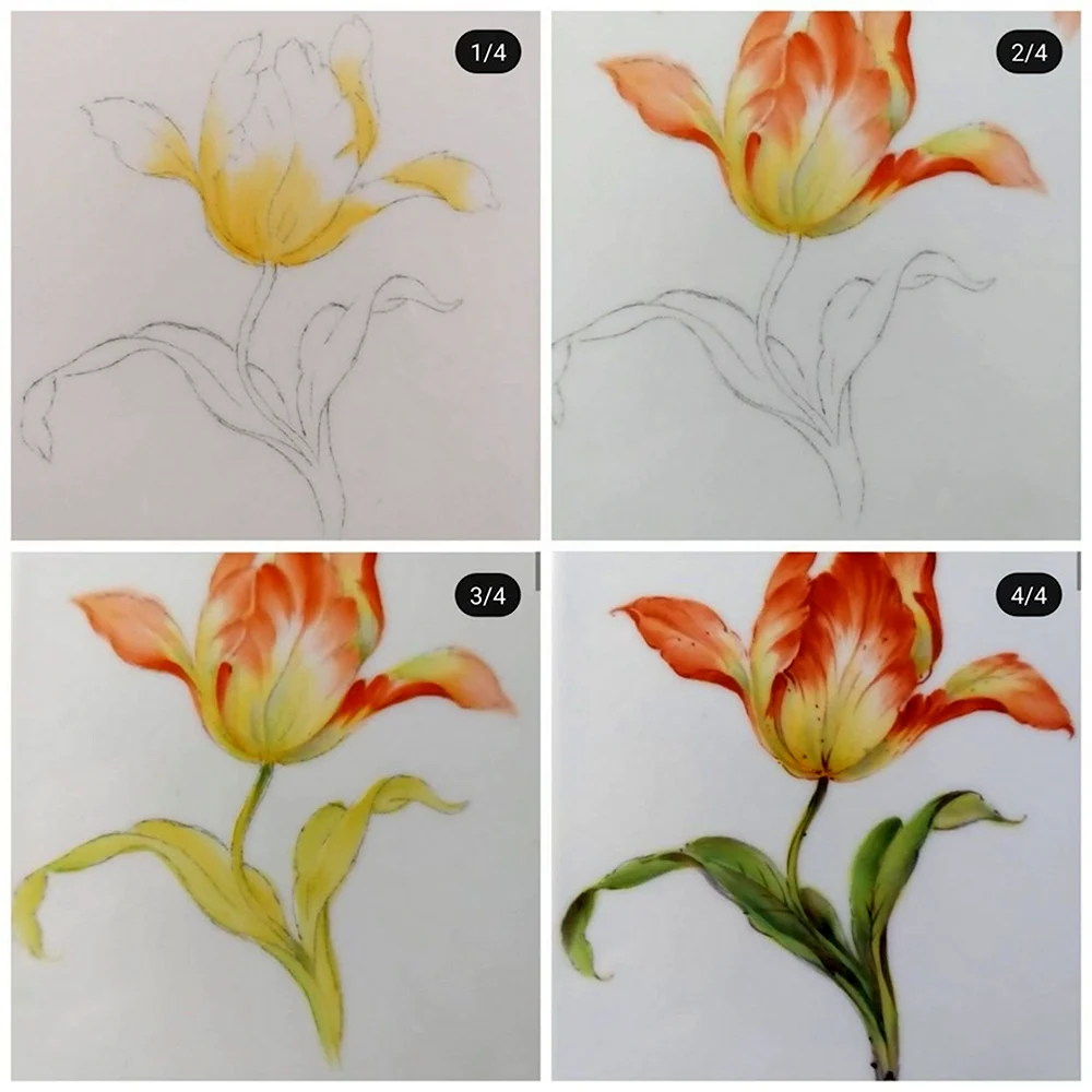 Схемы рисования цветов акварелью