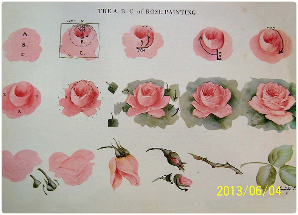 Схемы рисования цветов акварелью