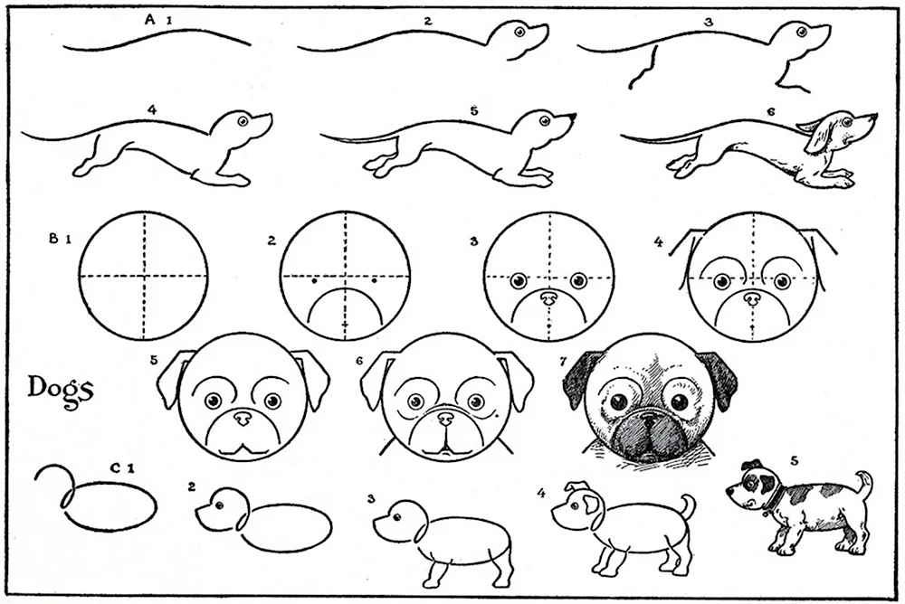Схемы рисования животных