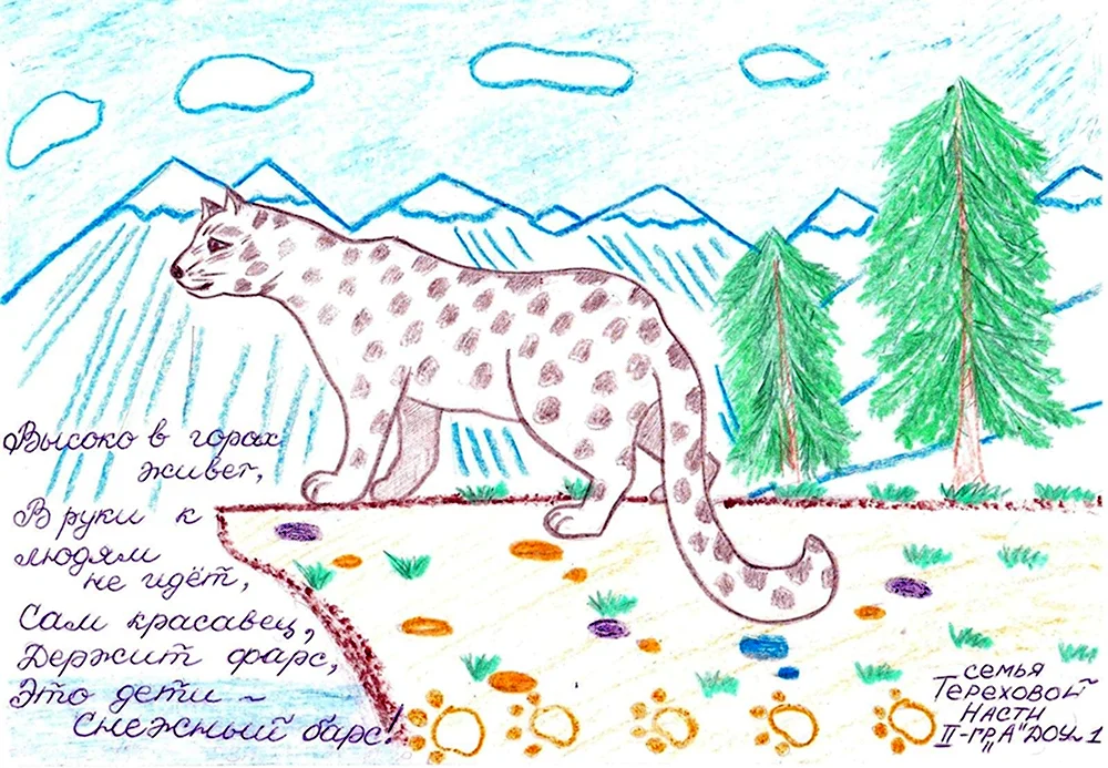 Снежный Барс рисунок детский