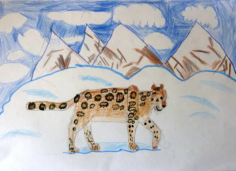 Снежный Барс рисунок для детей