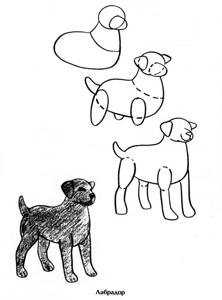 Собачка рисование для детей
