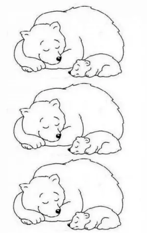 Спящий медведь раскраска