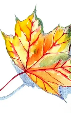 Срисовка осенних листьев