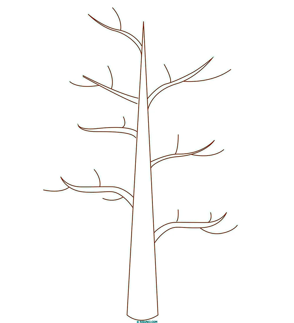 Ствол дерева для рисования