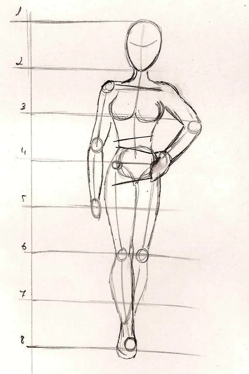 Тело человека для рисования
