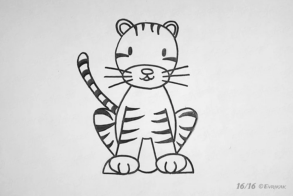 Тигр карандашом легко для ребенка