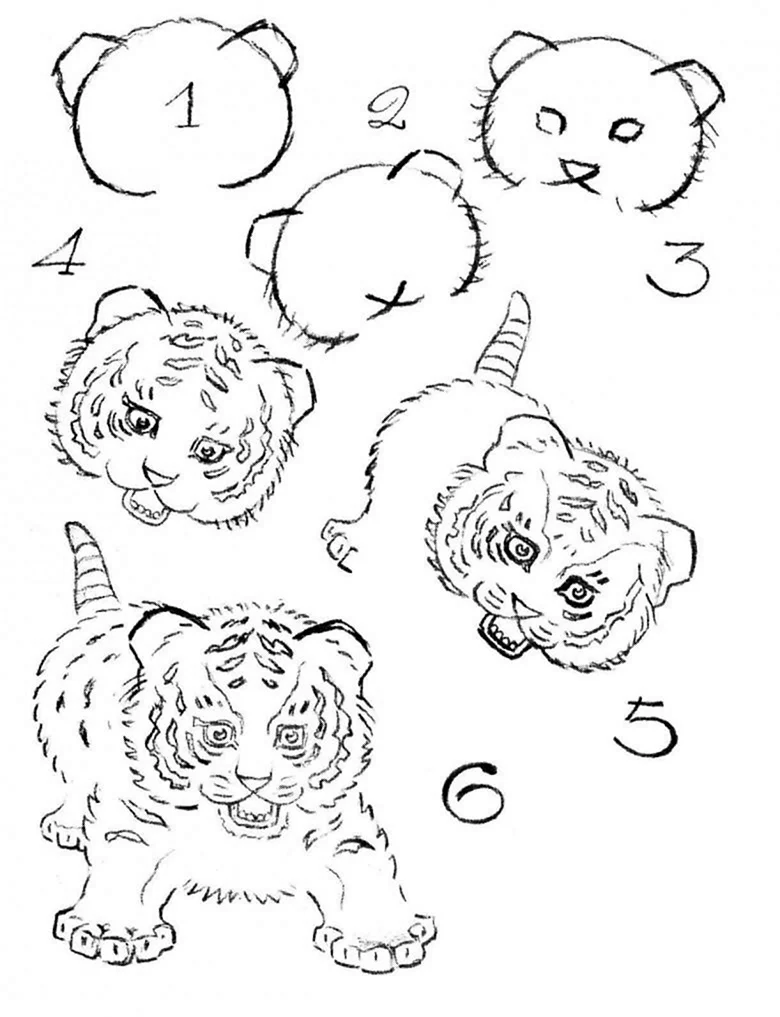Тигр рисунок карандашом для детей