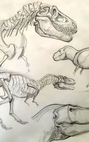 Тираннозавр анатомия