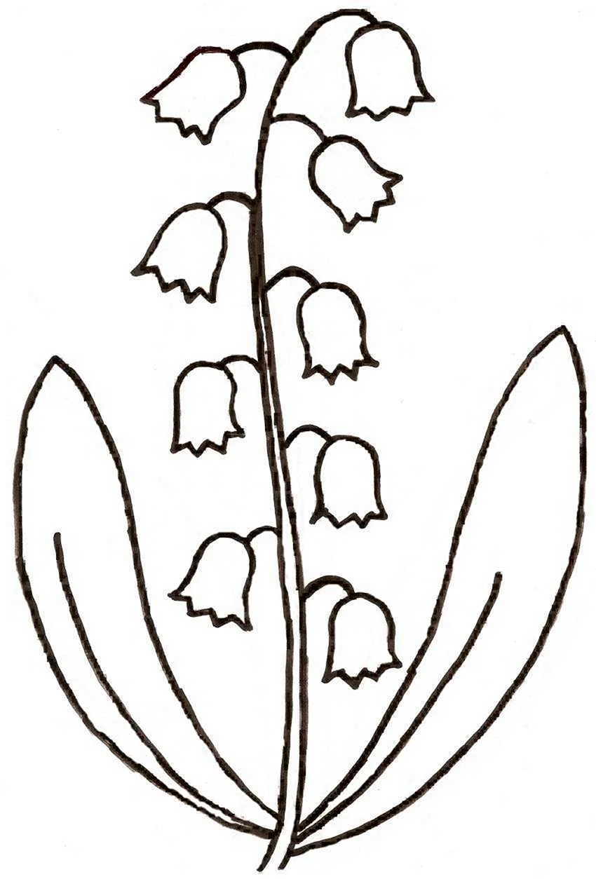 Трафарет цветка ландыша