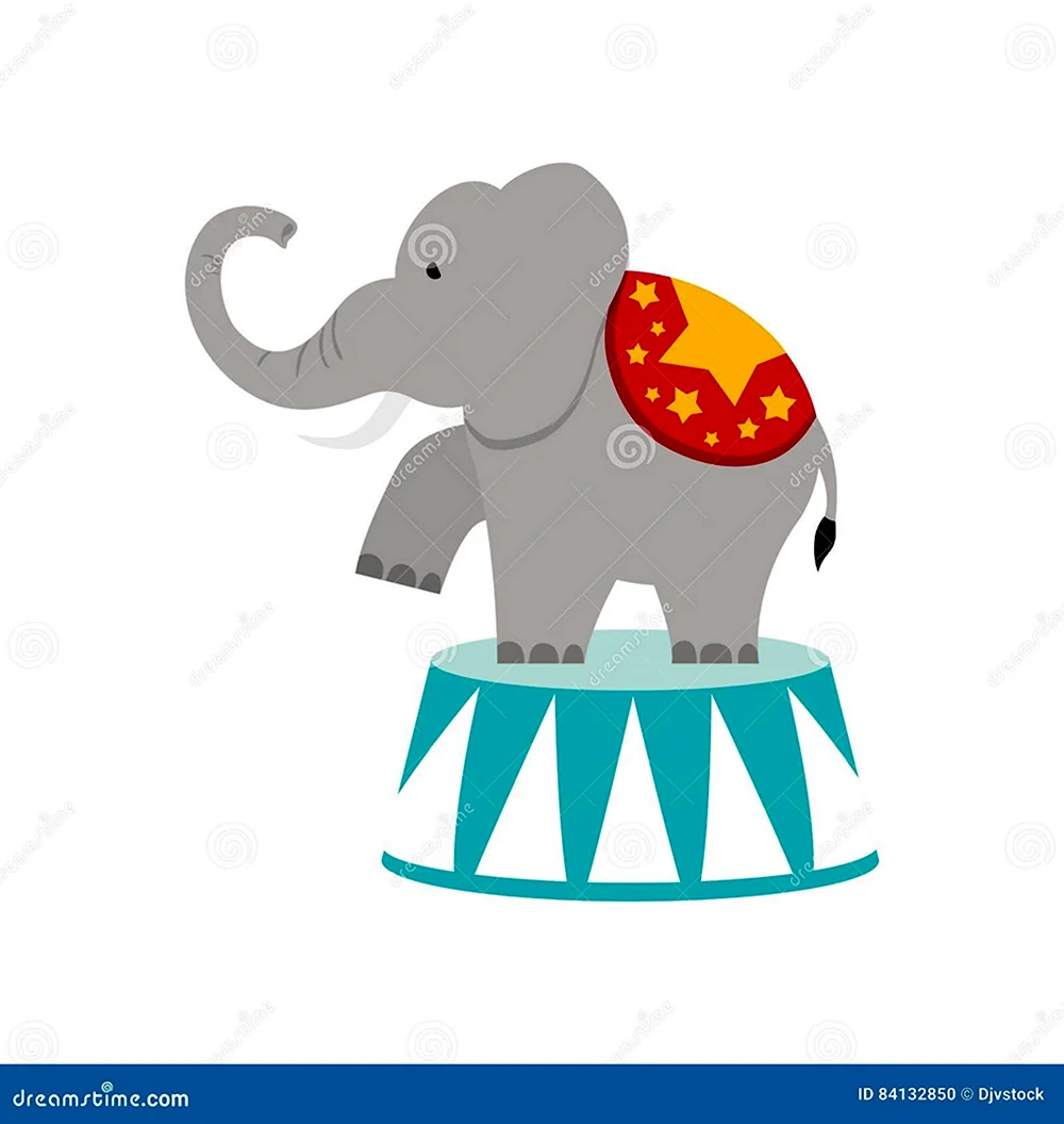 Цирковой слон на тумбе